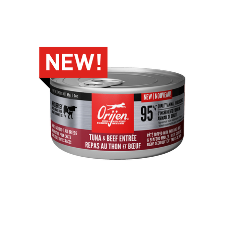 Beef cat food sale